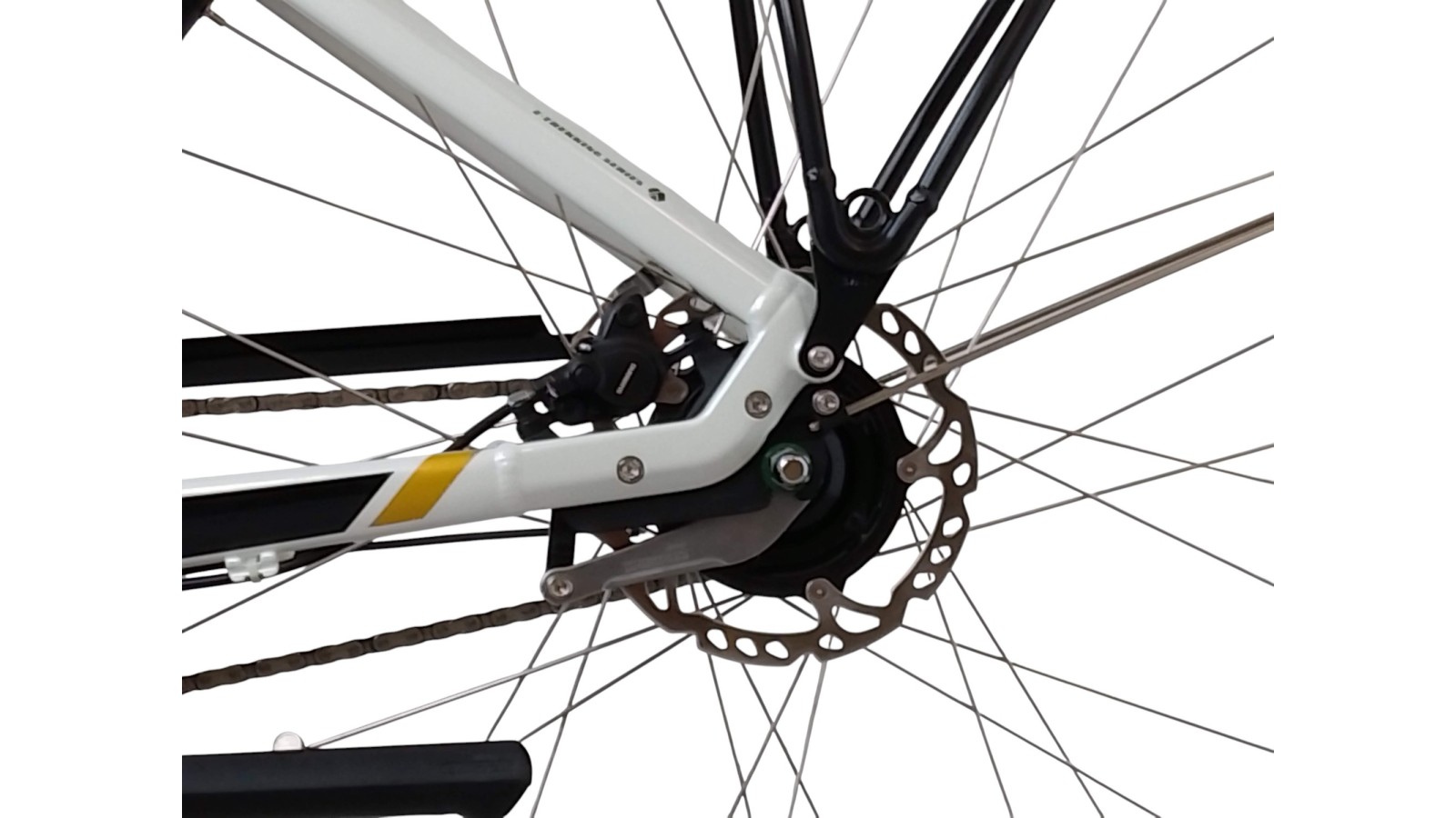 E-Bike Verona | Bergamont E-Horizon N8 | Bosch Active Line | 48
