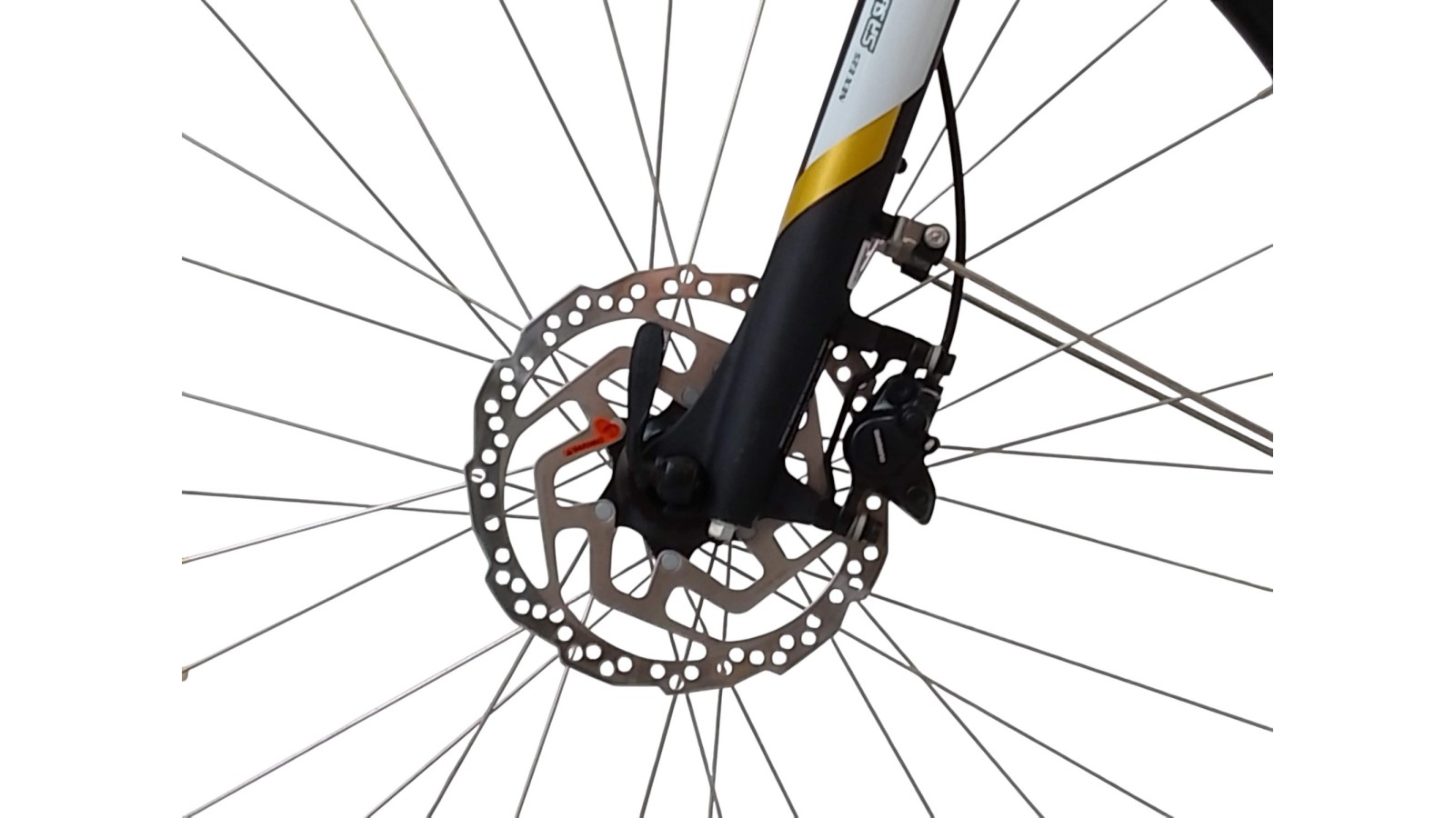 E-Bike Verona | Bergamont E-Horizon N8 | Bosch Active Line | 48