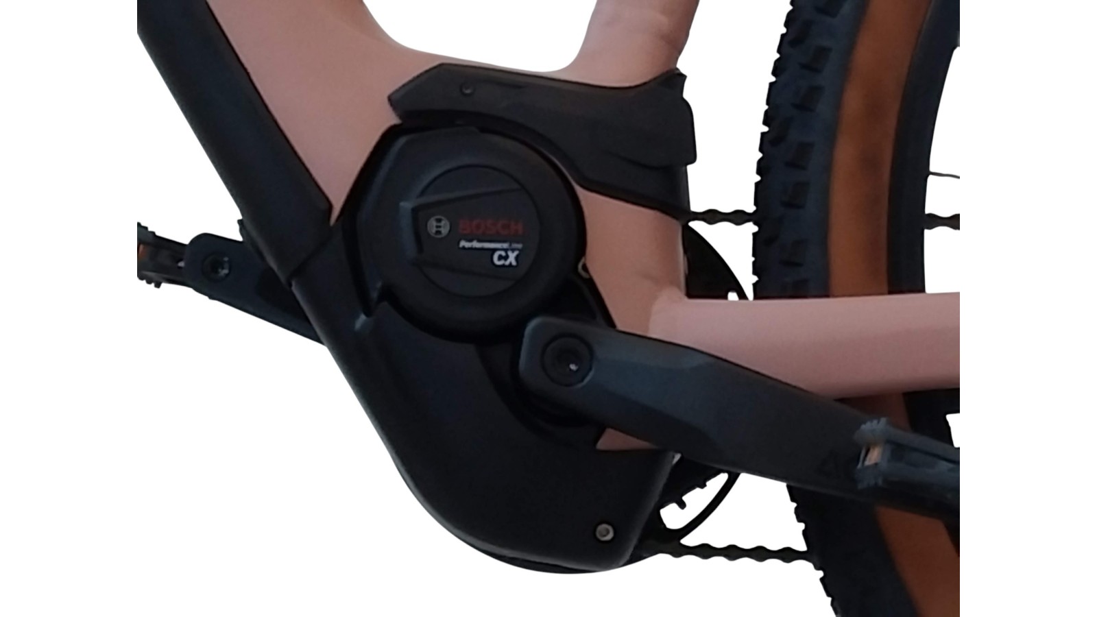 E-Bike Verona | Cube Reaction Hybrid Pro 625 | Bosch | M