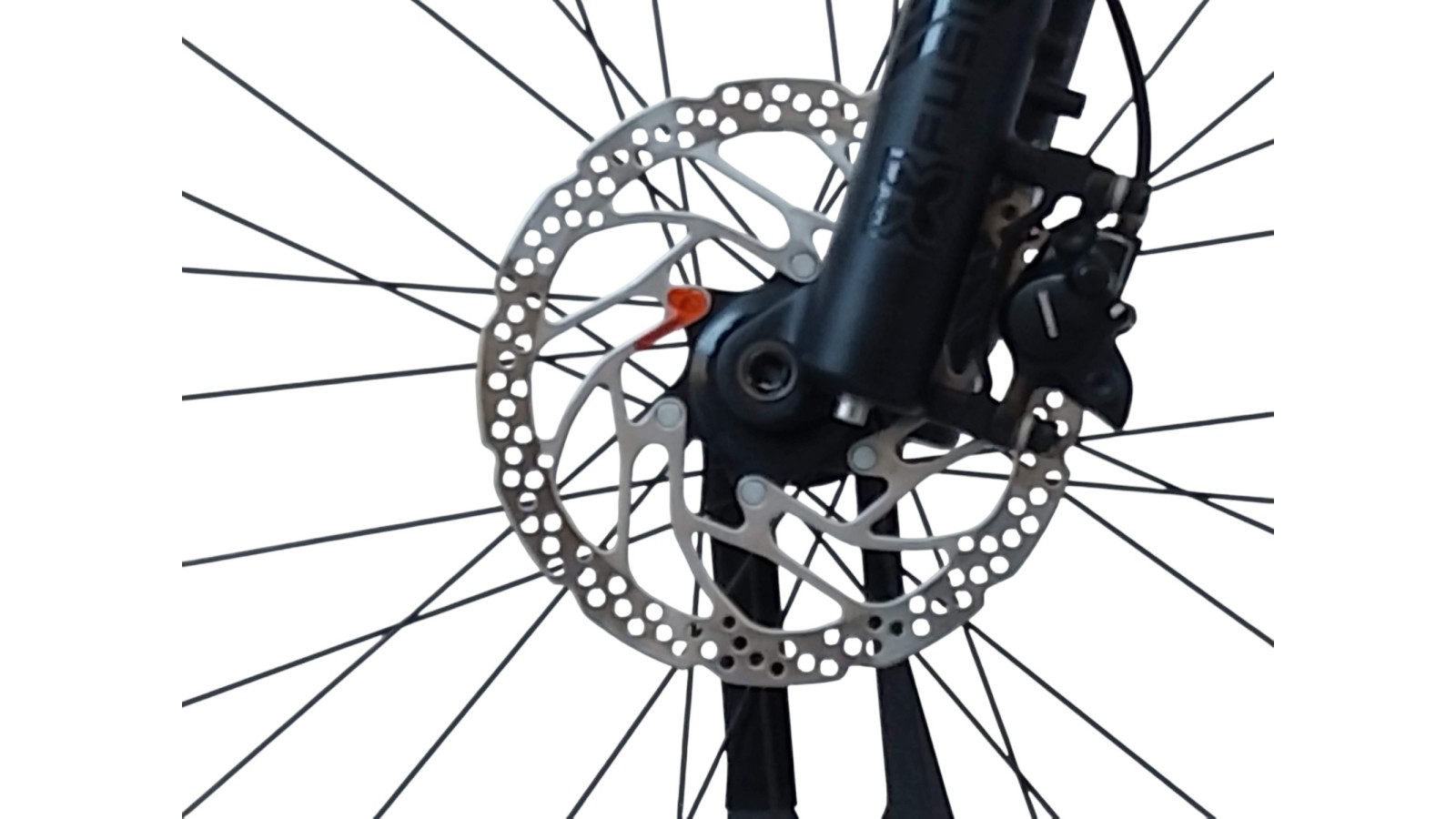 E-Bike Verona | Cube Reaction Hybrid Pro 625 | Bosch | M