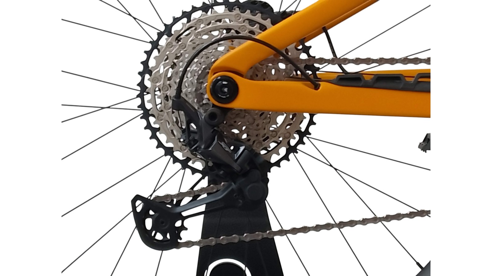 Orbea RISE SL M10 | Shimano | M | Bicycle Republic