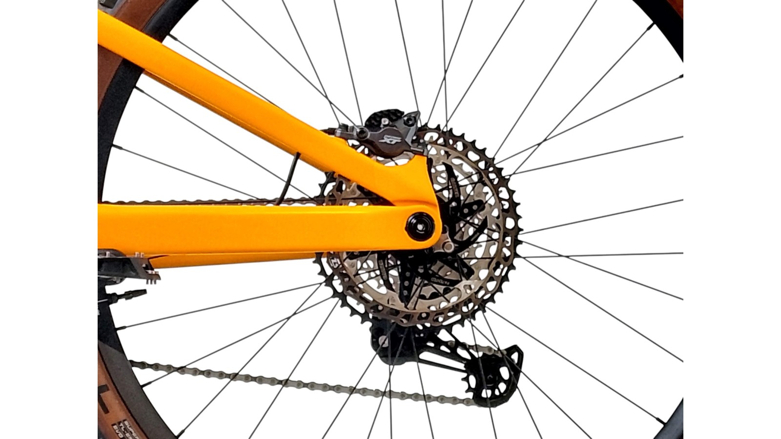 Orbea RISE SL M10 | Shimano | M | Bicycle Republic