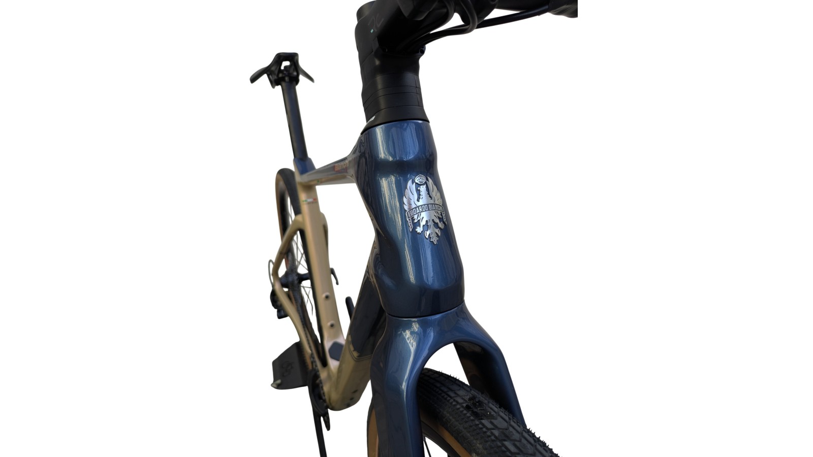 Bianchi München Gebraucht | Bianchi Arcadex | Campagnolo Ekar 1x13 | M