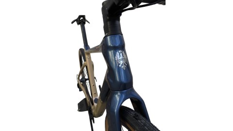 Bianchi München Gebraucht | Bianchi Arcadex | Campagnolo Ekar 1x13 | M