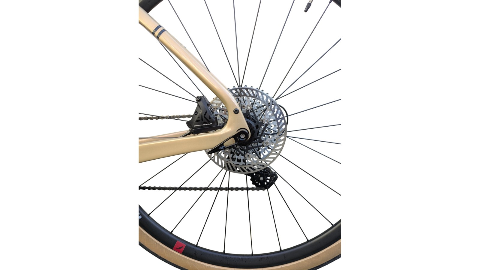 Bianchi München Gebraucht | Bianchi Arcadex | Campagnolo Ekar 1x13 | M