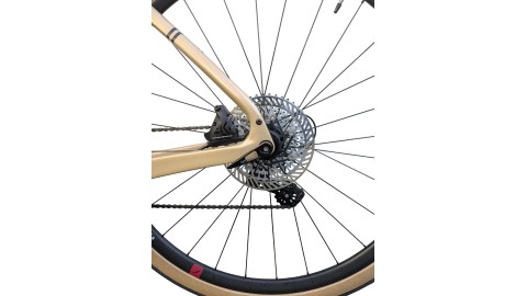 Bianchi München Gebraucht | Bianchi Arcadex | Campagnolo Ekar 1x13 | M