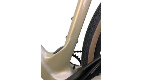 Bianchi München Gebraucht | Bianchi Arcadex | Campagnolo Ekar 1x13 | M