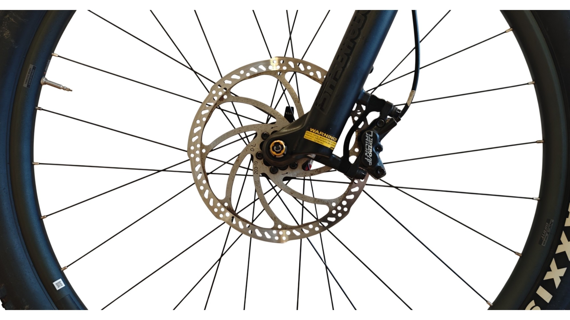 E-Bike Verona | Giant Stance E+ 2 | Yamaha 250W  | L