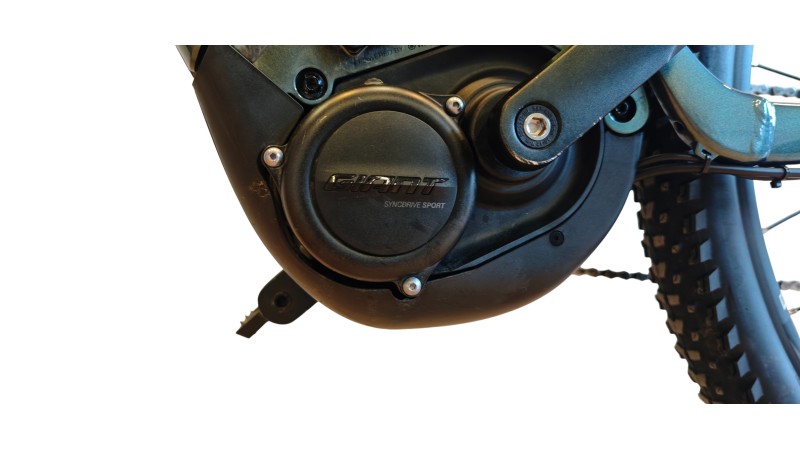 E-Bike Verona | Giant Stance E+ 2 | Yamaha 250W  | L