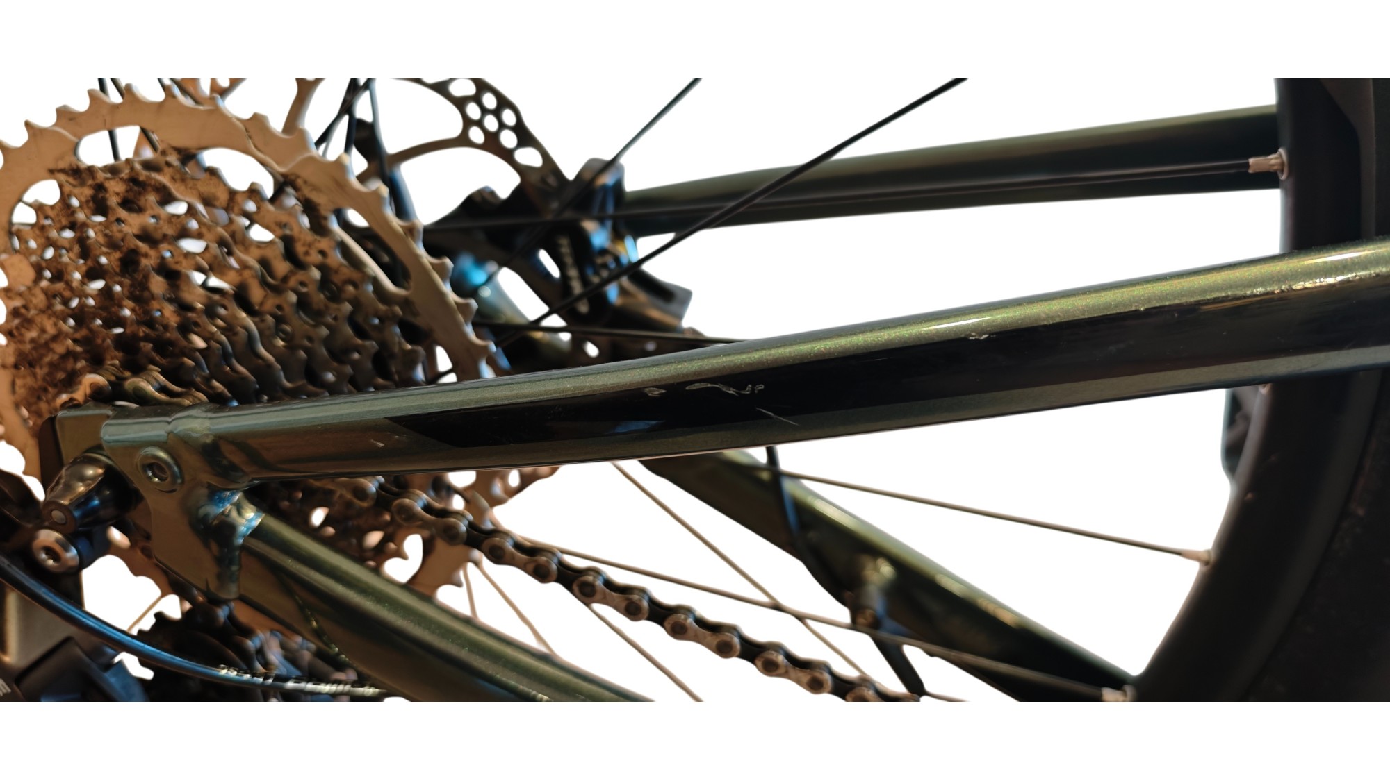 E-Bike Verona | Giant Stance E+ 2 | Yamaha 250W  | L