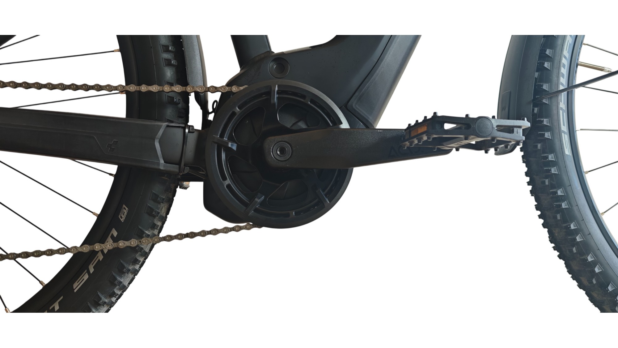 E-Bike Verona | Cube Reaction Hybrid Performance | Bosch | M