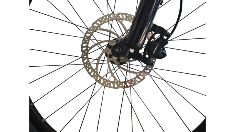 E-Bike Verona | Raymon HardRay E6.0 | Yamaha| L