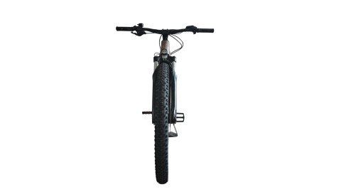 E-Bike Verona | Cube Reaction Hybrid Performance 625 Allroad | BOSCH |