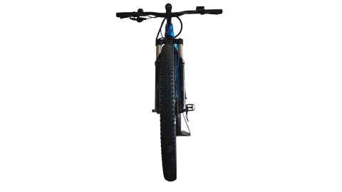 E-Bike Verona | Liv Vall E+2 | YAMAHA| M